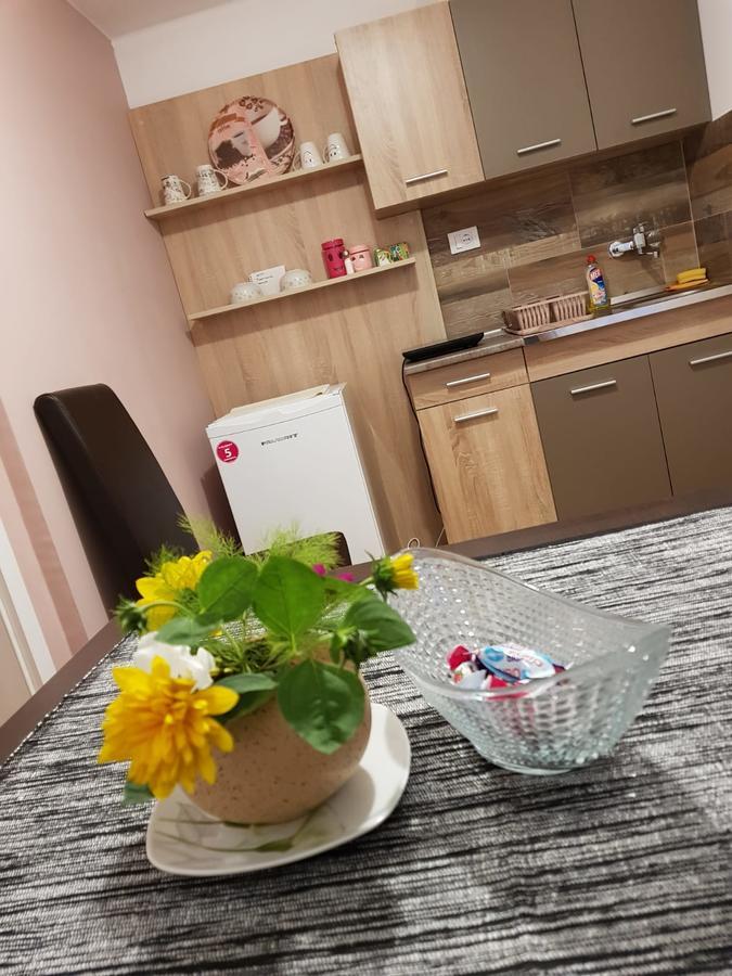 Apartment Holiday Vrnjačka Banja Екстериор снимка