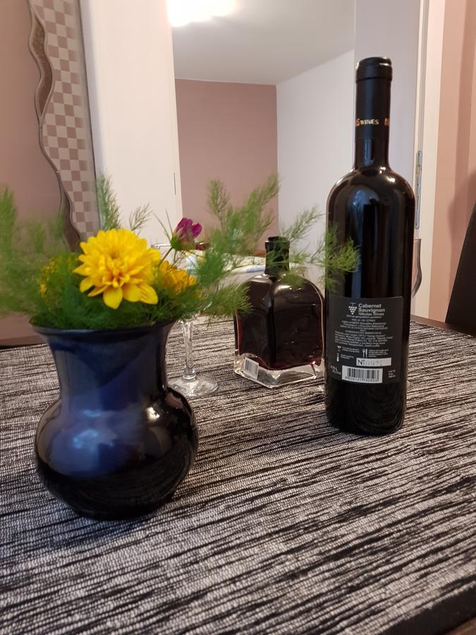Apartment Holiday Vrnjačka Banja Екстериор снимка