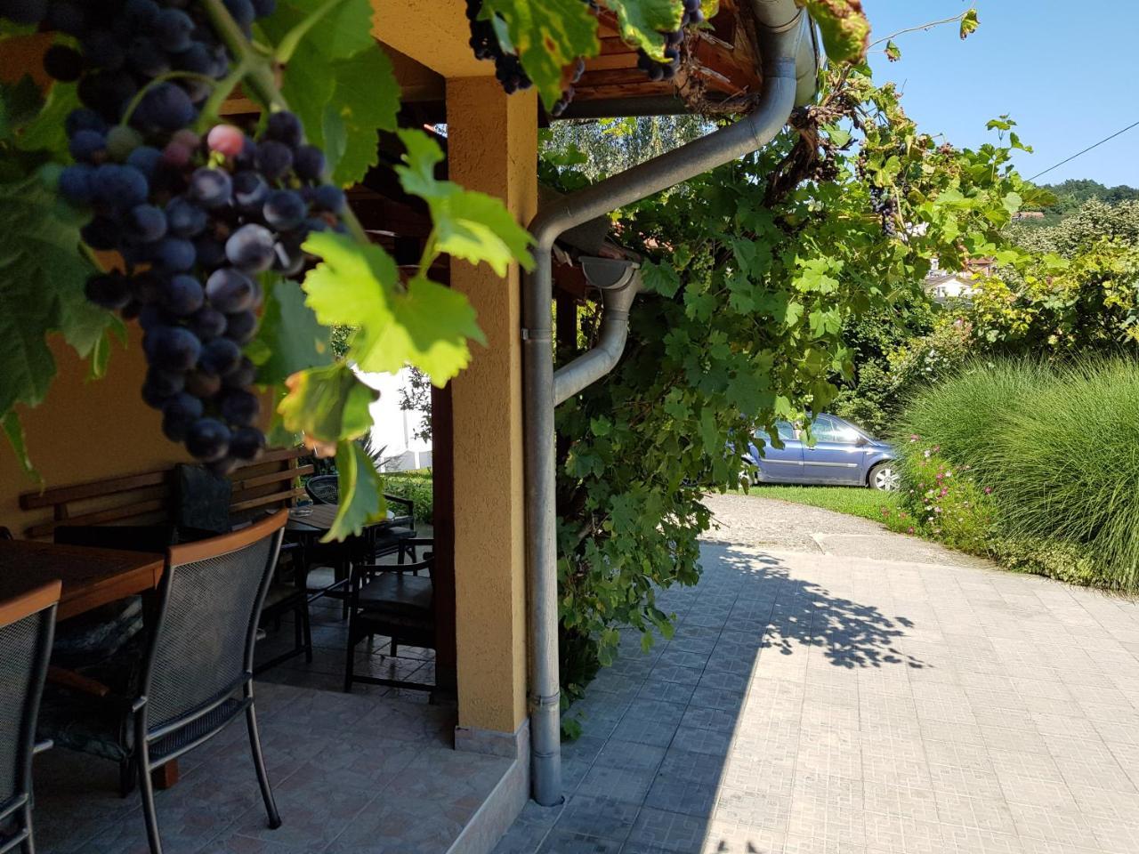 Apartment Holiday Vrnjačka Banja Екстериор снимка